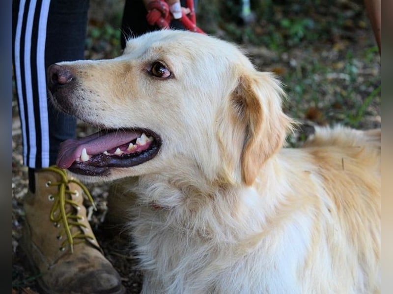Rodman - läuft sich die Seele wund Rodman - läuft sich die Seele wund