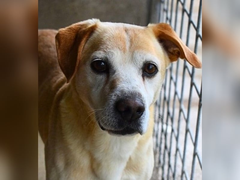 Jimmy - SOS - muss erstmal durchatmen