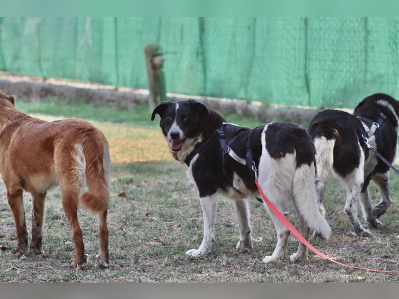 Coraggio - Schritt für Schritt ins Leben zurück