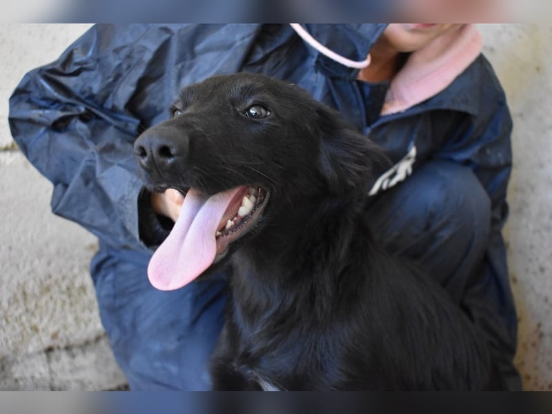 Nerelina - Das Märchen von den fünf Schwestern