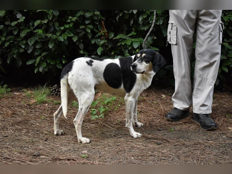 Ericka - NOTFALL - Wie viele Leben brauchst du?