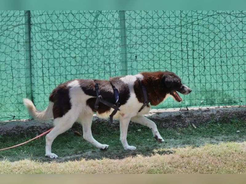 Cambiamento - lasst uns sein Leben verändern