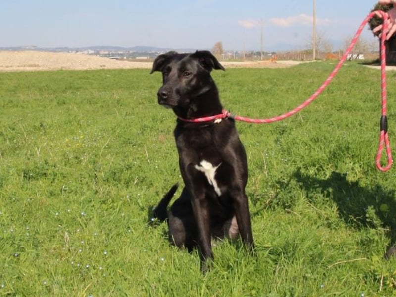 Clodette - Persönlichkeit sucht Führungsqualität!