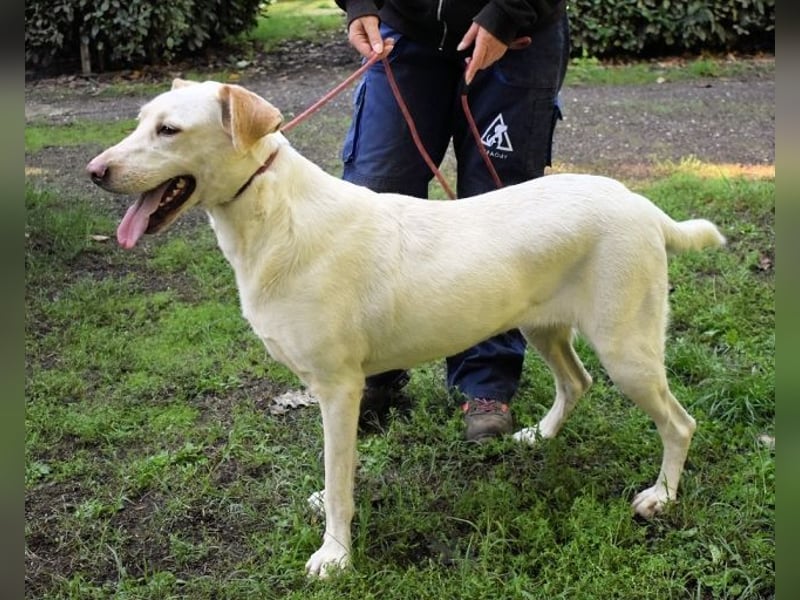 Hadrienne - einmal nur Wärme spüren