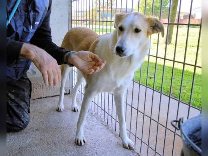 Liuba - sucht ihren Platz im Leben Liuba - sucht ihren Platz im Leben