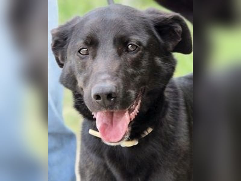 Clodette - Persönlichkeit sucht Führungsqualität!