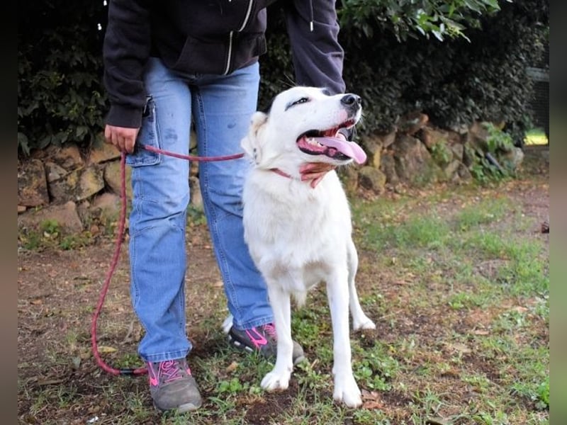 Pattie - Pattie im Vergessen