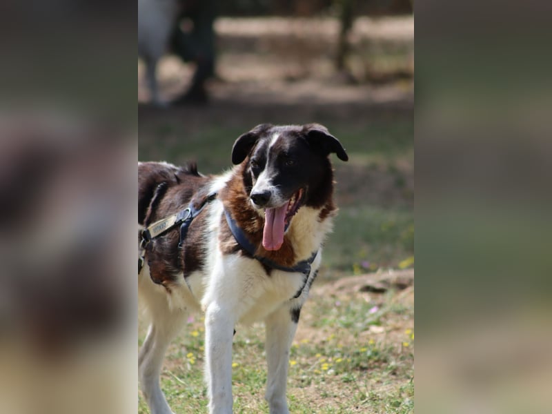 Coraggio - Schritt für Schritt ins Leben zurück