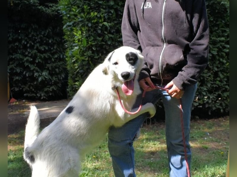 Pattie - Pattie im Vergessen