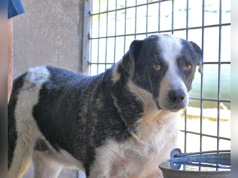 Oldrich - NIE ist einfach zu lang