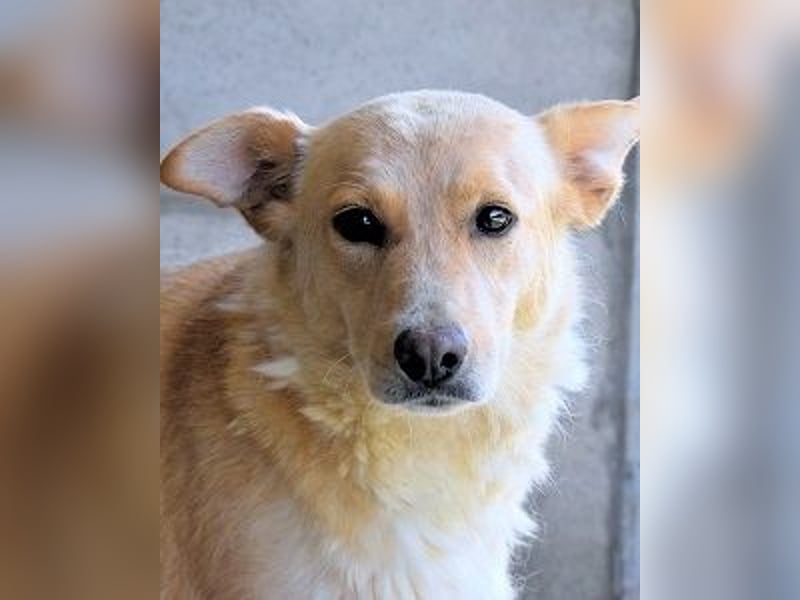 Ariana - lange sitzen sie schon da und haben es schwer