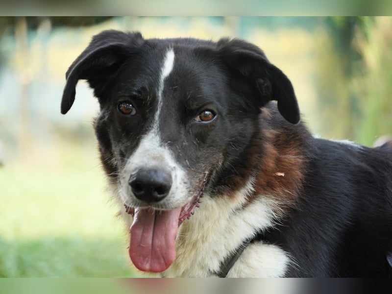 Coraggio - Schritt für Schritt ins Leben zurück