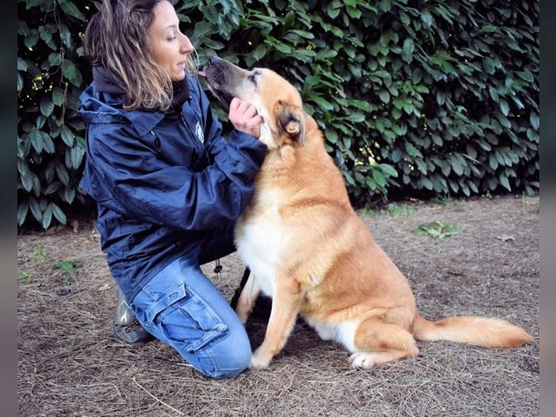 Oddy - Der "Seltsame" mit den Bernsteinaugen