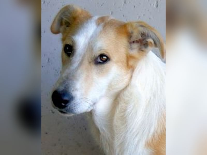 Liuba - sucht ihren Platz im Leben Liuba - sucht ihren Platz im Leben