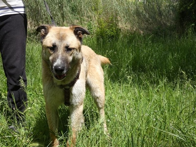 Life - Life will mehr vom Leben - und das zeigt er deutlich!