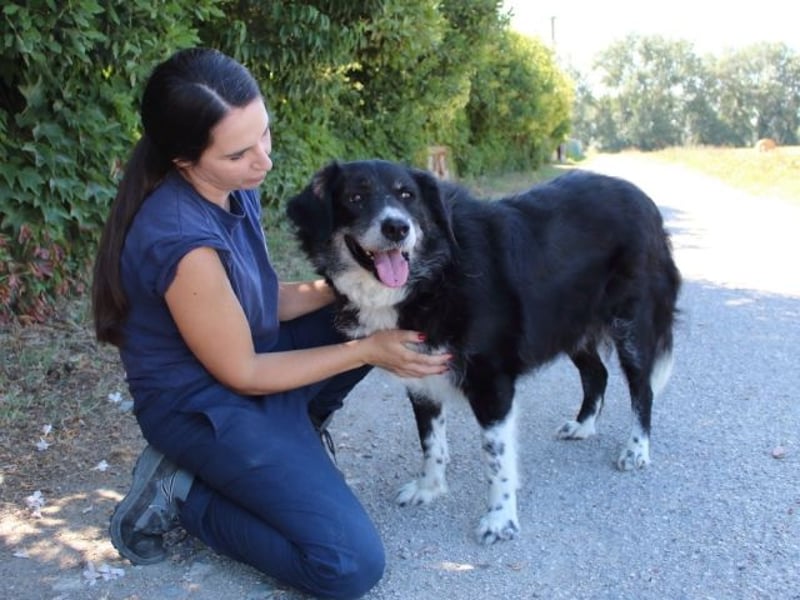 Carmine - Bereit für den Neustart