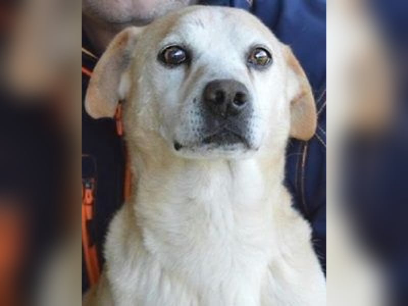 Jimmy - SOS - muss erstmal durchatmen