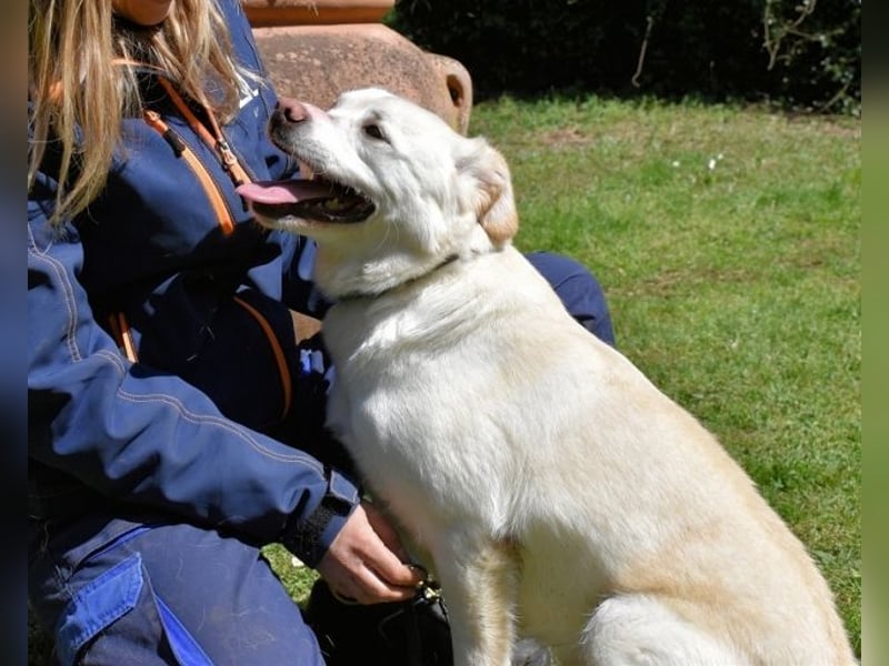 Ulbrecht - Ein kurzer Hauch von Gras