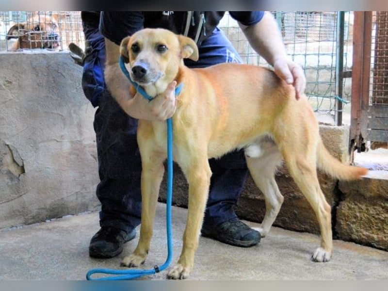 Zaccheo - ist im besten Alter