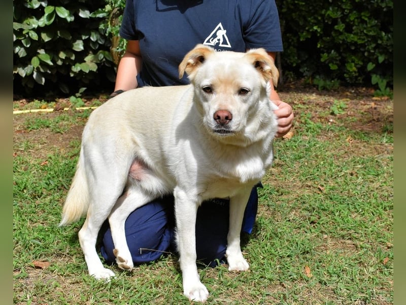 Ulbrecht - Ein kurzer Hauch von Gras