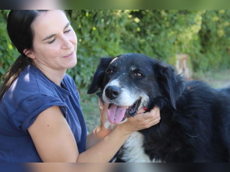 Carmine - Bereit für den Neustart