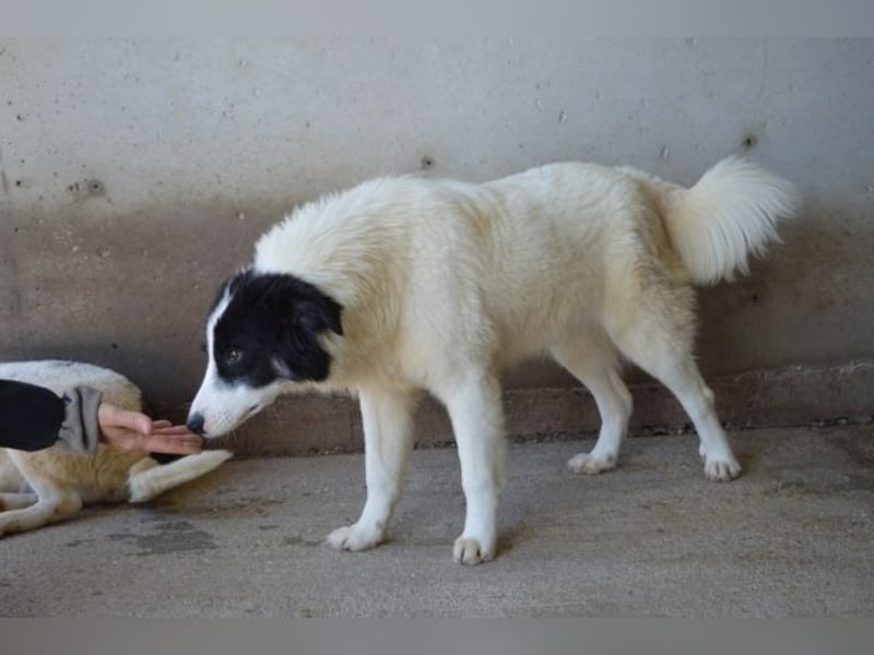 Ghazala - Noch ein bisschen scheu, aber voller Neugier aufs Leben