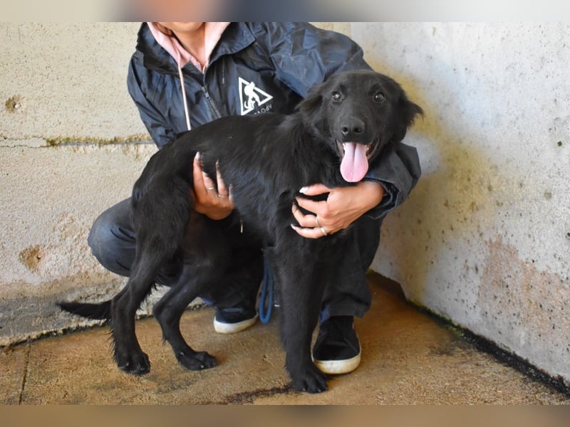 Nerelina - Das Märchen von den fünf Schwestern