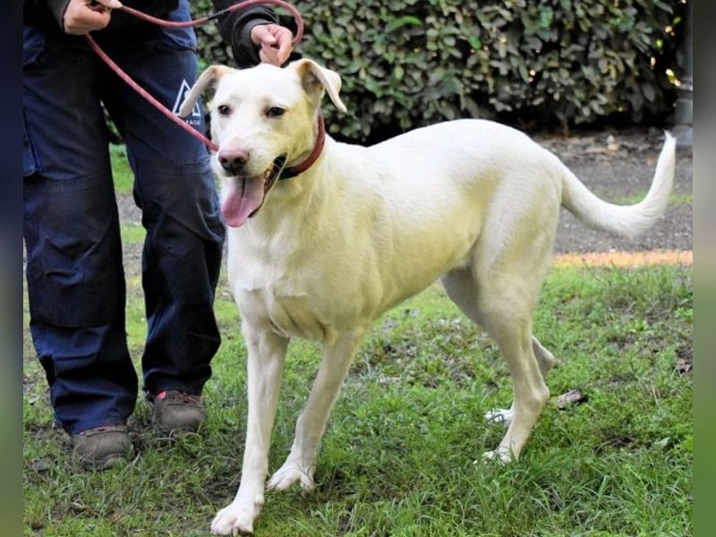 Hadrienne - einmal nur Wärme spüren