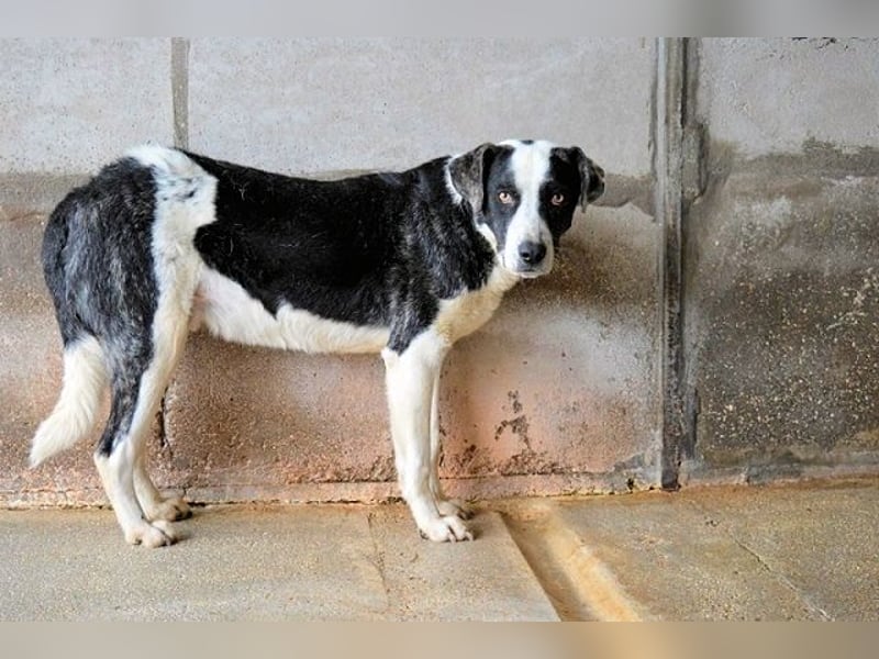 Oldrich - NIE ist einfach zu lang