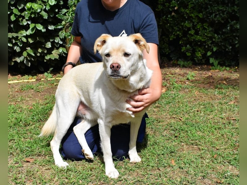 Ulbrecht - Ein kurzer Hauch von Gras