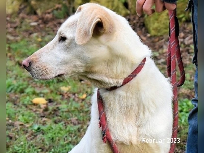 Hadrienne - einmal nur Wärme spüren