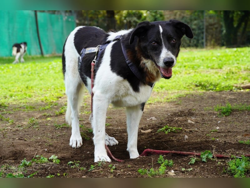Coraggio - Schritt für Schritt ins Leben zurück