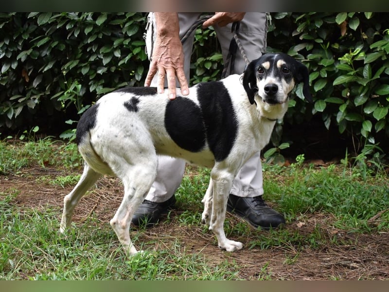 Ericka - NOTFALL - Wie viele Leben brauchst du?