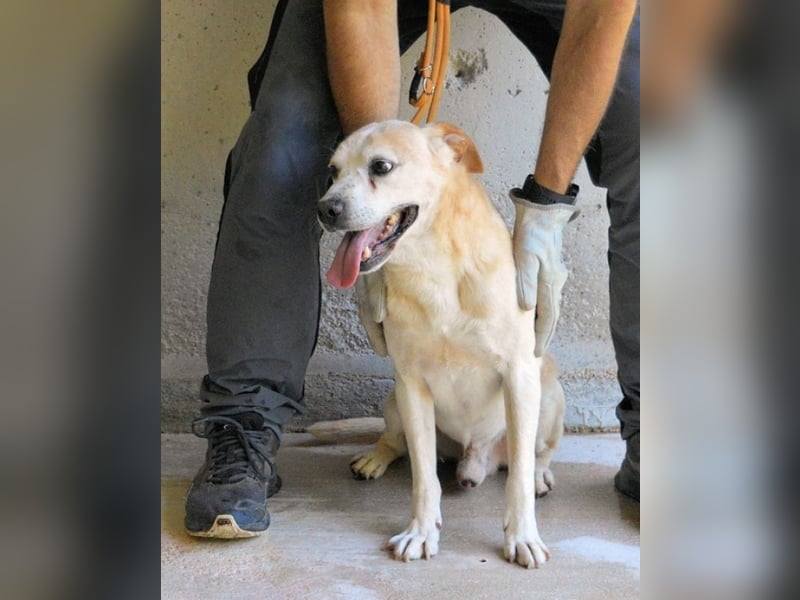 Jimmy - SOS - muss erstmal durchatmen