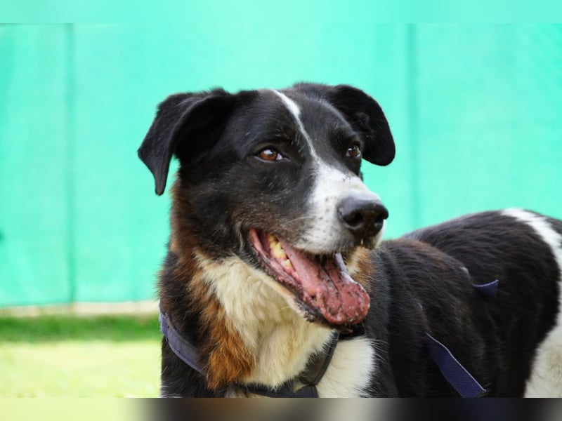 Coraggio - Schritt für Schritt ins Leben zurück