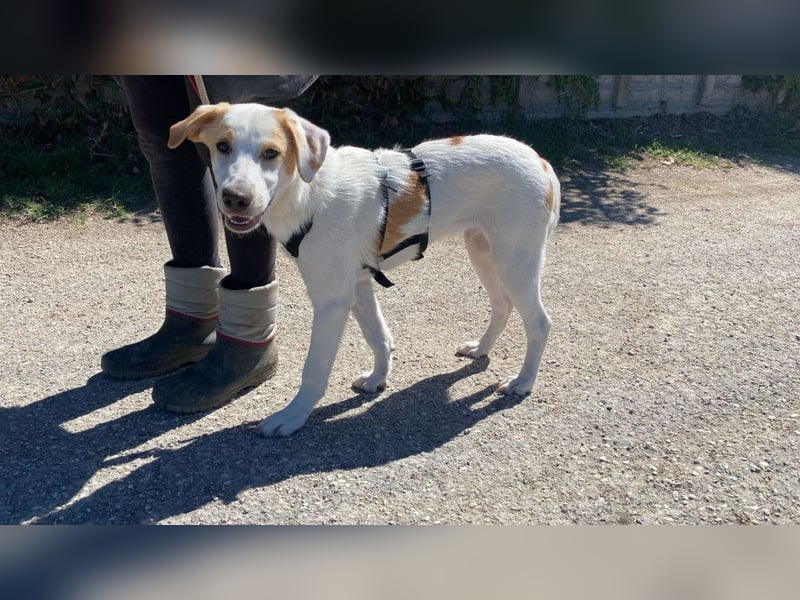 Wafer - Die leise Hoffnung, dass etwas Besseres kommt