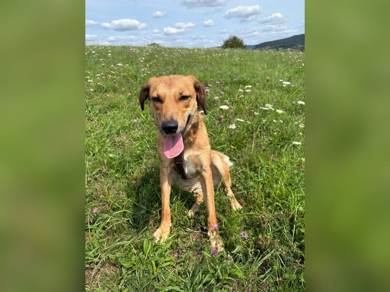 Rihanna - Es hat ihr nichts genützt