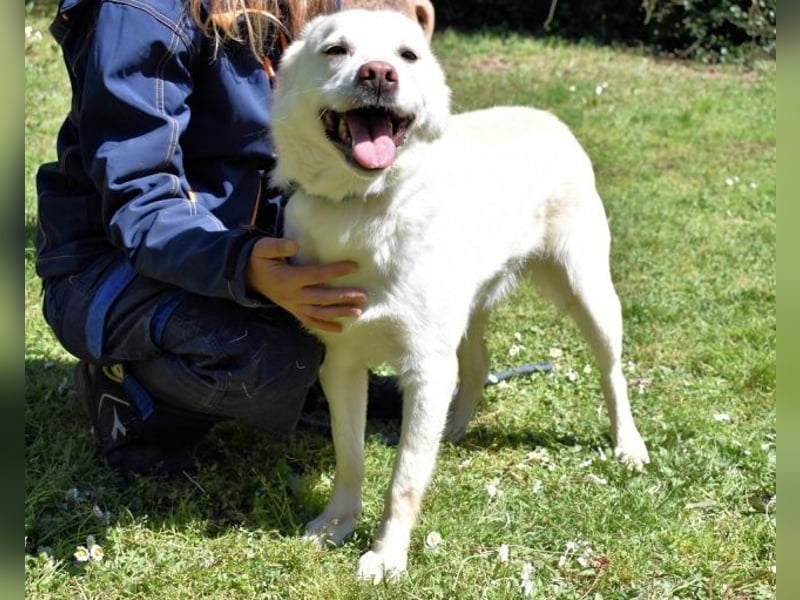 Ulbrecht - Ein kurzer Hauch von Gras