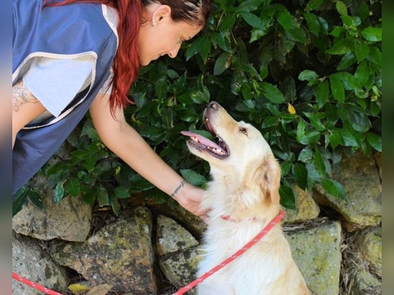 Rodman - läuft sich die Seele wund Rodman - läuft sich die Seele wund