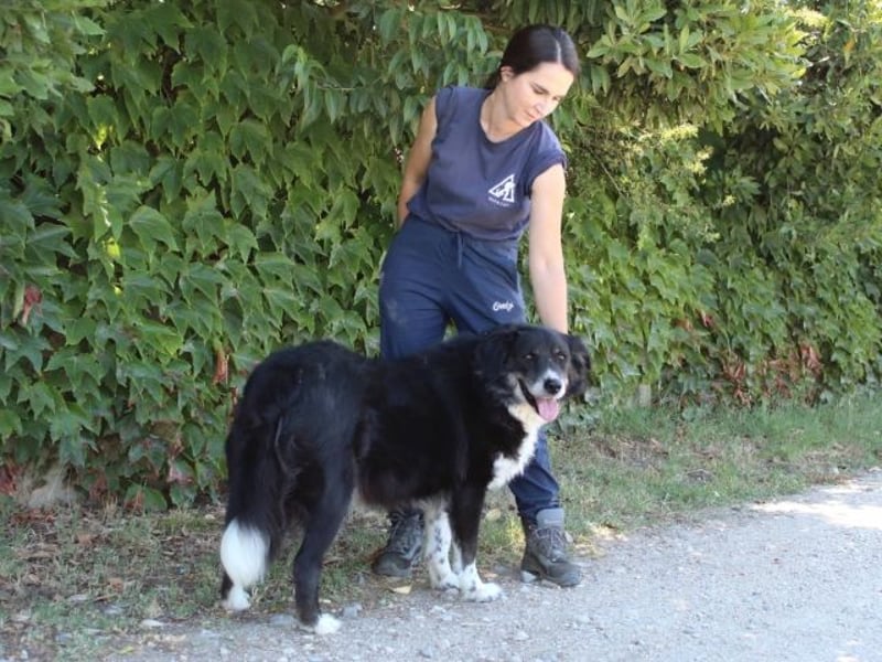 Carmine - Bereit für den Neustart