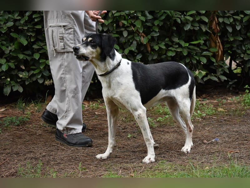 Ericka - NOTFALL - Wie viele Leben brauchst du?