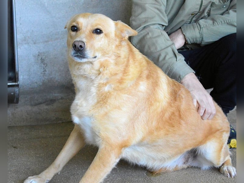 Ariana - lange sitzen sie schon da und haben es schwer