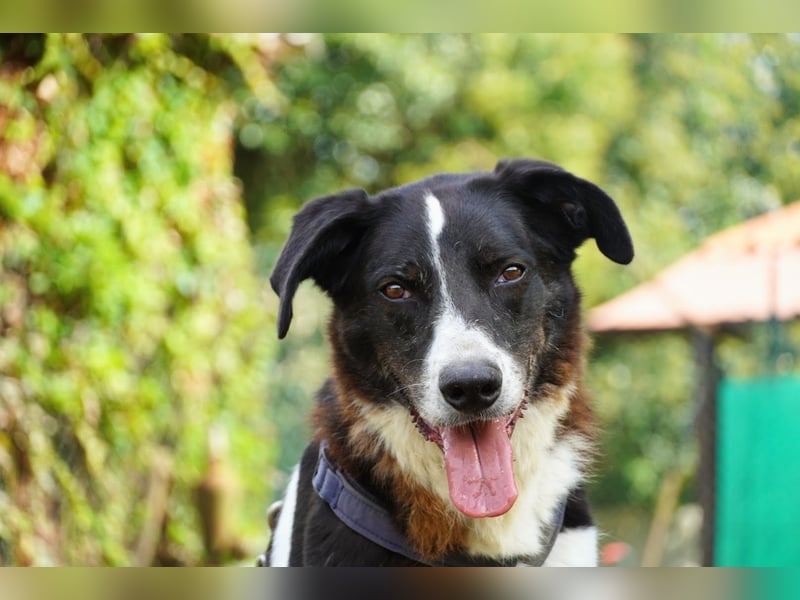 Coraggio - Schritt für Schritt ins Leben zurück