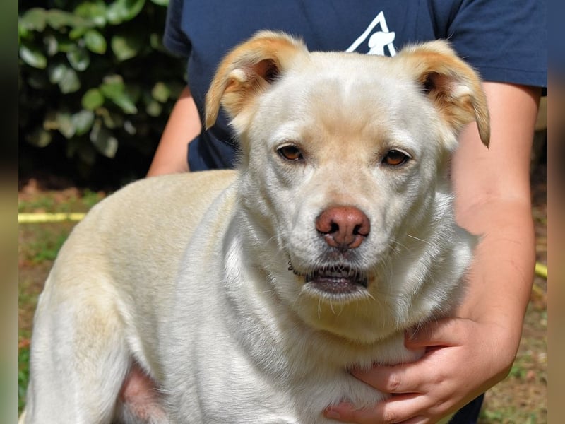 Ulbrecht - Ein kurzer Hauch von Gras