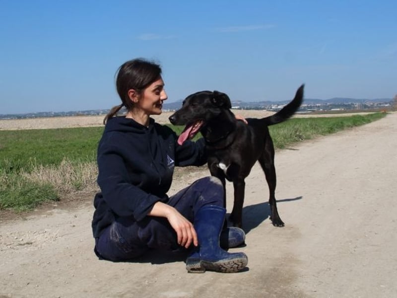 Clodette - Persönlichkeit sucht Führungsqualität!