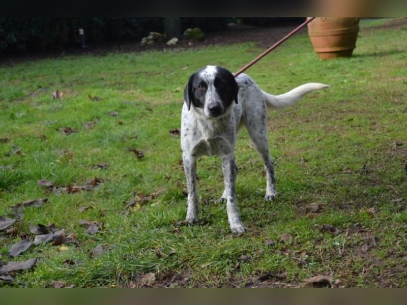 Flicka - möchte noch viel erleben