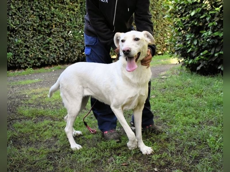 Hadrienne - einmal nur Wärme spüren