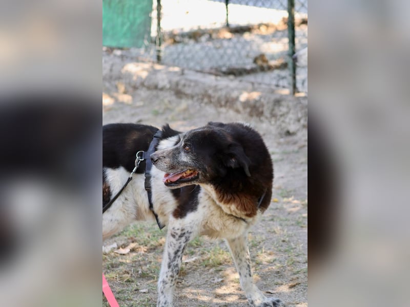 Cambiamento - lasst uns sein Leben verändern