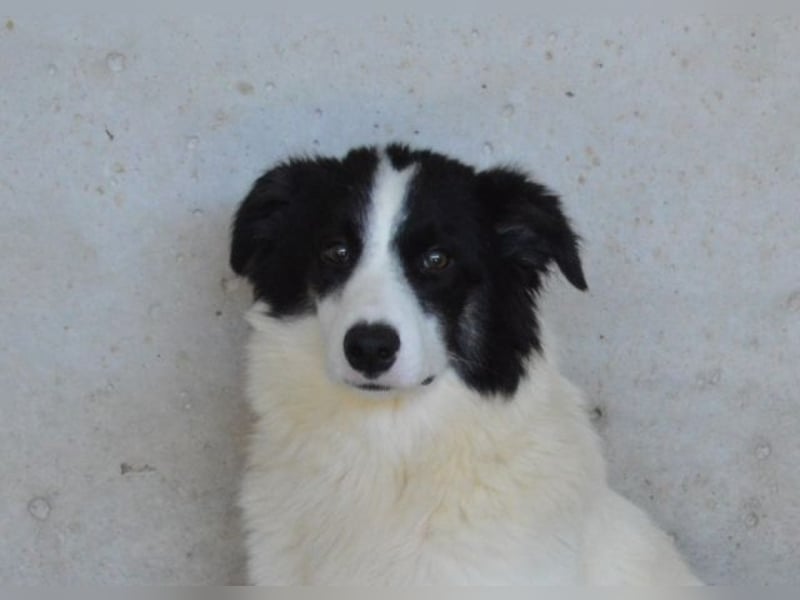 Ghazala - Noch ein bisschen scheu, aber voller Neugier aufs Leben