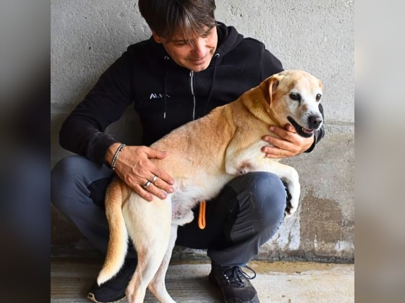 Jimmy - SOS - muss erstmal durchatmen